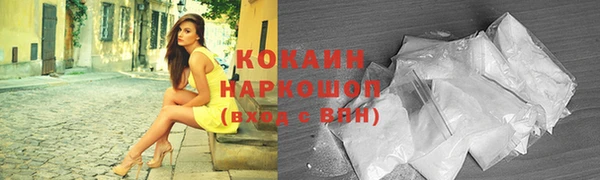 шишки Аркадак
