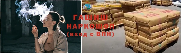 шишки Аркадак