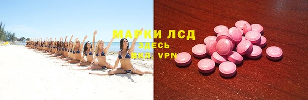 шишки Аркадак