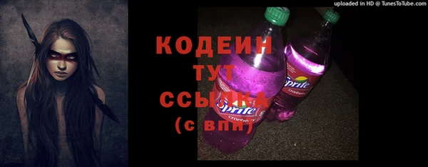 шишки Аркадак