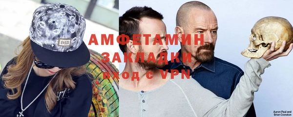шишки Аркадак
